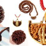 Ek Mukhi Rudraksha