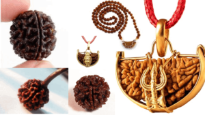 Ek Mukhi Rudraksha